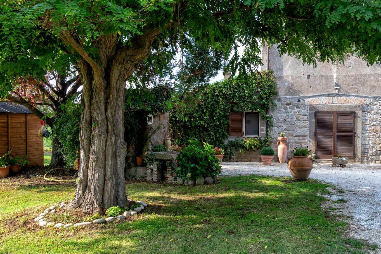 Il Castelletto Del Salamaro Viterbo Eksteriør billede